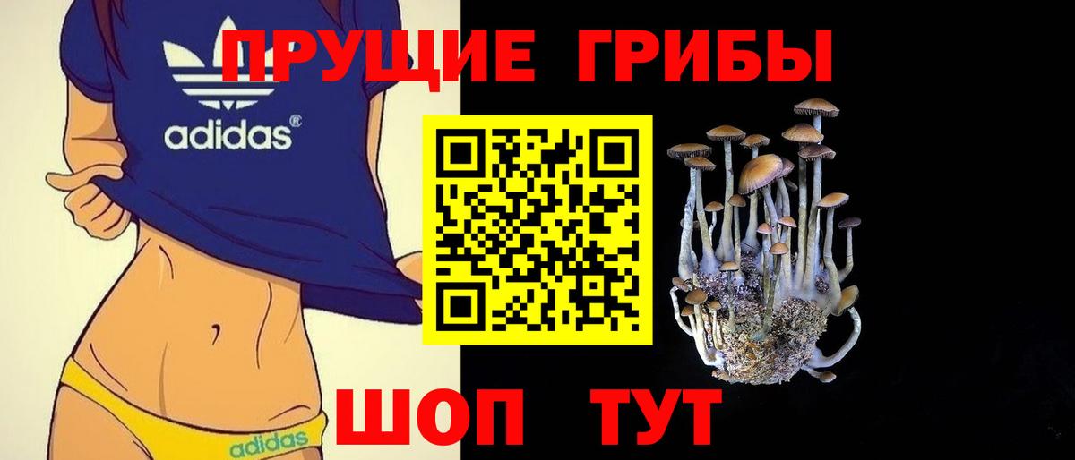Галлюциногенные грибы мухоморы  Вход с VPN  Галлюциногенные грибы Psilocybine cubensis  Кунгур 